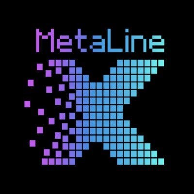 MetaLineX